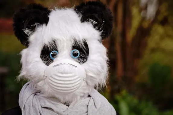 TopBet Casino Ondersteuning